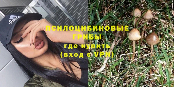 дмт Балахна
